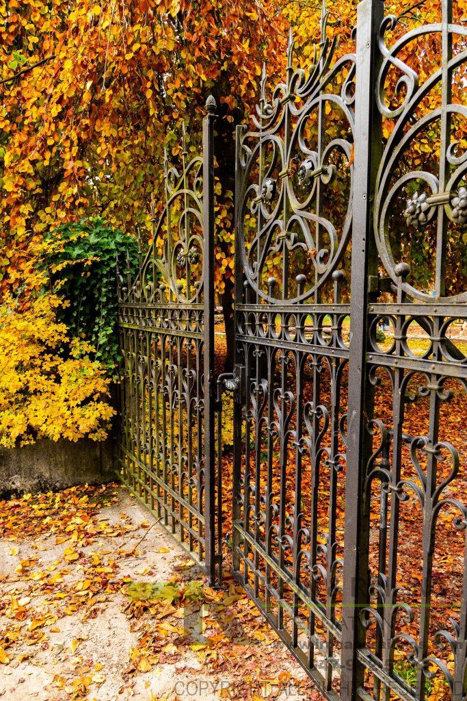 toronto iron railings